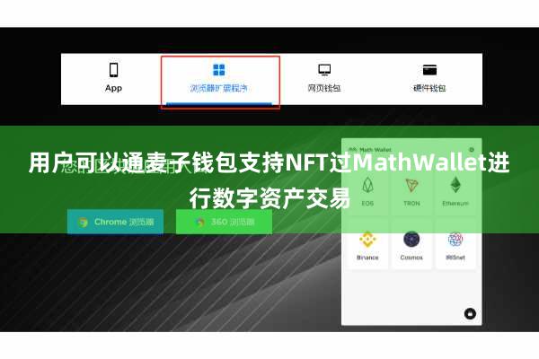 用户可以通麦子钱包支持NFT过MathWallet进行数字资产交易