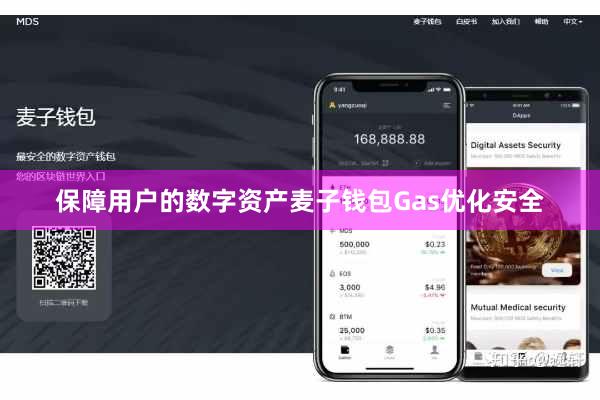 保障用户的数字资产麦子钱包Gas优化安全