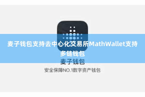 麦子钱包支持去中心化交易所MathWallet支持多链钱包
