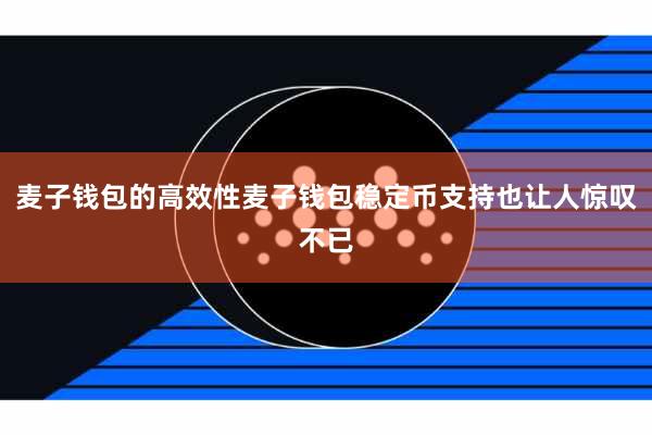 麦子钱包的高效性麦子钱包稳定币支持也让人惊叹不已