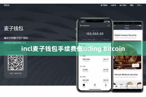 incl麦子钱包手续费低uding Bitcoin