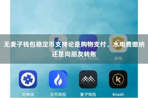 无麦子钱包稳定币支持论是购物支付、水电费缴纳还是向朋友转账