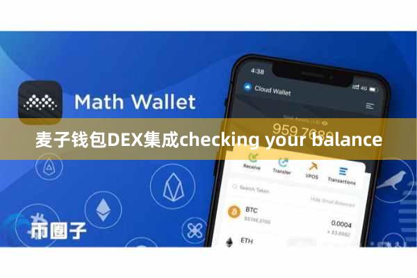 麦子钱包DEX集成checking your balance