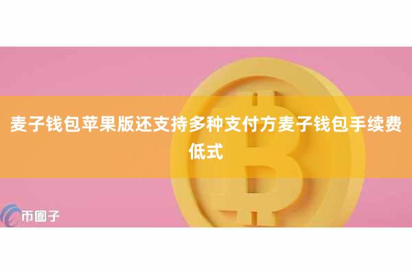 麦子钱包苹果版还支持多种支付方麦子钱包手续费低式