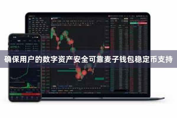 确保用户的数字资产安全可靠麦子钱包稳定币支持