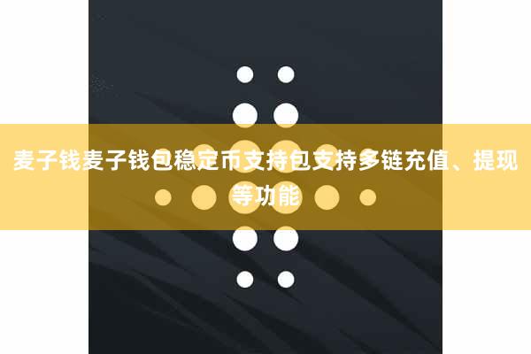 麦子钱麦子钱包稳定币支持包支持多链充值、提现等功能