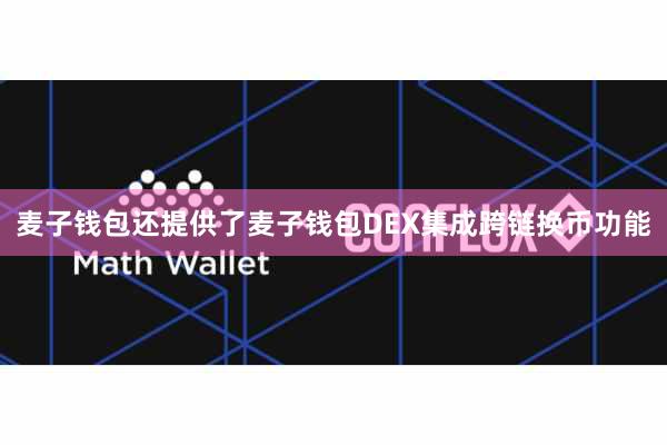 麦子钱包还提供了麦子钱包DEX集成跨链换币功能