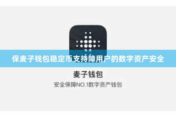 保麦子钱包稳定币支持障用户的数字资产安全